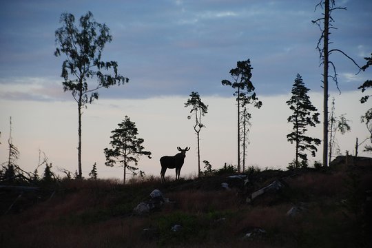 Tour image 1