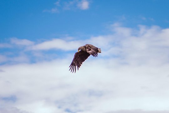 Tour image 5