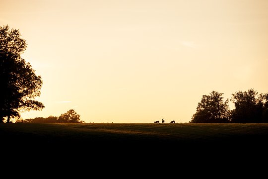 Tour image 2