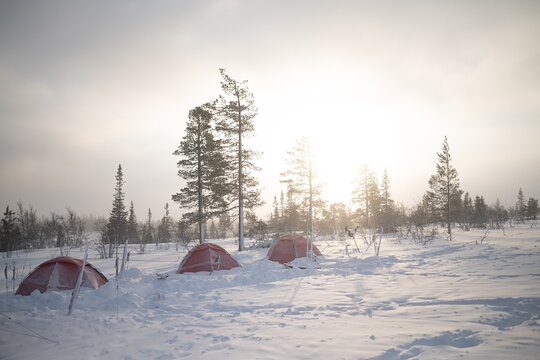 Tour image 6