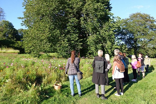 Tour image 6