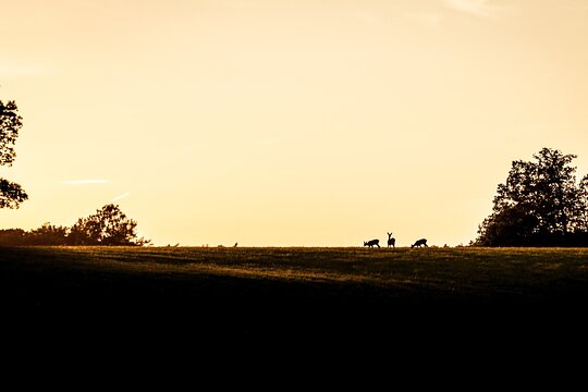 Tour image 11