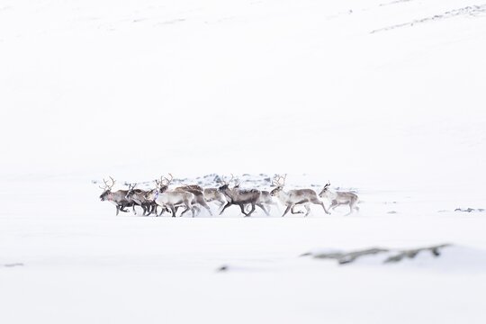 Tour image 6